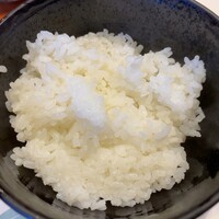 魚竹 - 