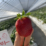 姫路ハートフル観光農園 - 