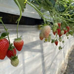 姫路ハートフル観光農園 - 