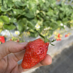 姫路ハートフル観光農園 - 