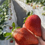 姫路ハートフル観光農園 - 