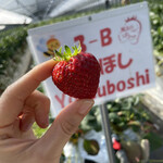 姫路ハートフル観光農園 - 