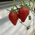 姫路ハートフル観光農園 - 