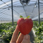 姫路ハートフル観光農園 - 