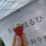 姫路ハートフル観光農園 - 