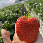 姫路ハートフル観光農園 - 