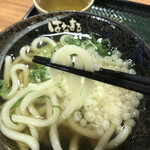 Hanamaru Udon - 