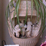 ケル シャンス - 絶え間なく水が流れておりました