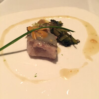 XEX TOKYO / Salvatore Cuomo Bros. - 