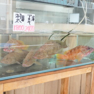 h Asuka - 店頭で泳ぐ魚たち。これらを調理してもらうことが可能だという