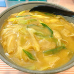Kare udon senmon sambino - カレーうどん（ネギ増し）