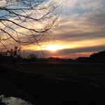 さかなどころ ともさき - 