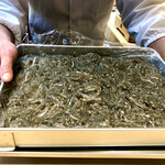 くろぎ - 琵琶湖の氷魚　