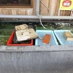 かき焼 うちの海 - 