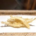 日本橋 蕎ノ字 - 白魚