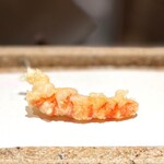 日本橋 蕎ノ字 - 車えび 1 レア