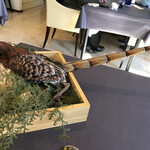 プレゼンテ スギ - 山鳥