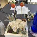 プレゼンテ スギ - トマト飴