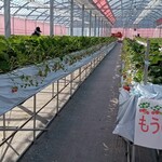 花立山ファーム - ハウス内