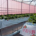 花立山ファーム - ハウス内