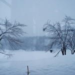 道の駅　いりひろせ - お店様内から「野外」の撮影です(1/14UP)