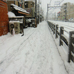 エムコイデ - 何年かぶりの大雪の日（1/14・成人の日）