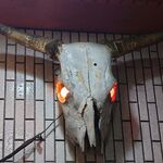 一条流がんこ総本家分家四谷荒木町 - 