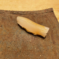 紀尾井町 三谷 - 