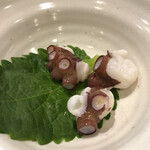 湯島天神下 すし初 - 