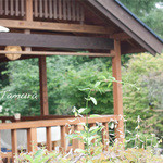 信州そば　田村 - テラス席