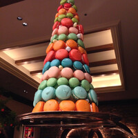 スプレンディード - 