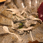 馳走 啐啄一十  - 