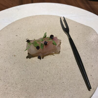 ル スプートニク - 