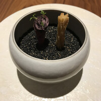 ル スプートニク - 