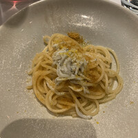 タケル クインディチ(LOQUAT) 西伊豆 - 