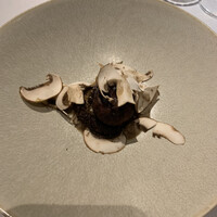 タケル クインディチ(LOQUAT) 西伊豆 - 