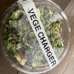 VEGE CHARGER - 