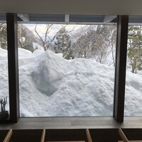 レヴォ - 