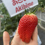 姫路ハートフル観光農園 - 