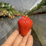 姫路ハートフル観光農園 - 