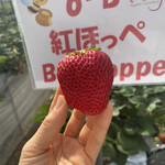 姫路ハートフル観光農園 - 