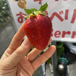 姫路ハートフル観光農園 - 