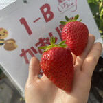 姫路ハートフル観光農園 - 