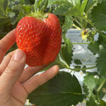 姫路ハートフル観光農園 - 