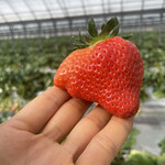 姫路ハートフル観光農園 - 