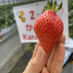 姫路ハートフル観光農園 - 