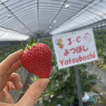 姫路ハートフル観光農園 - 