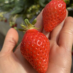 姫路ハートフル観光農園 - 