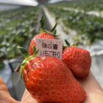 姫路ハートフル観光農園 - 