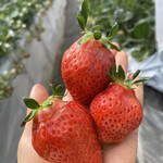 姫路ハートフル観光農園 - 